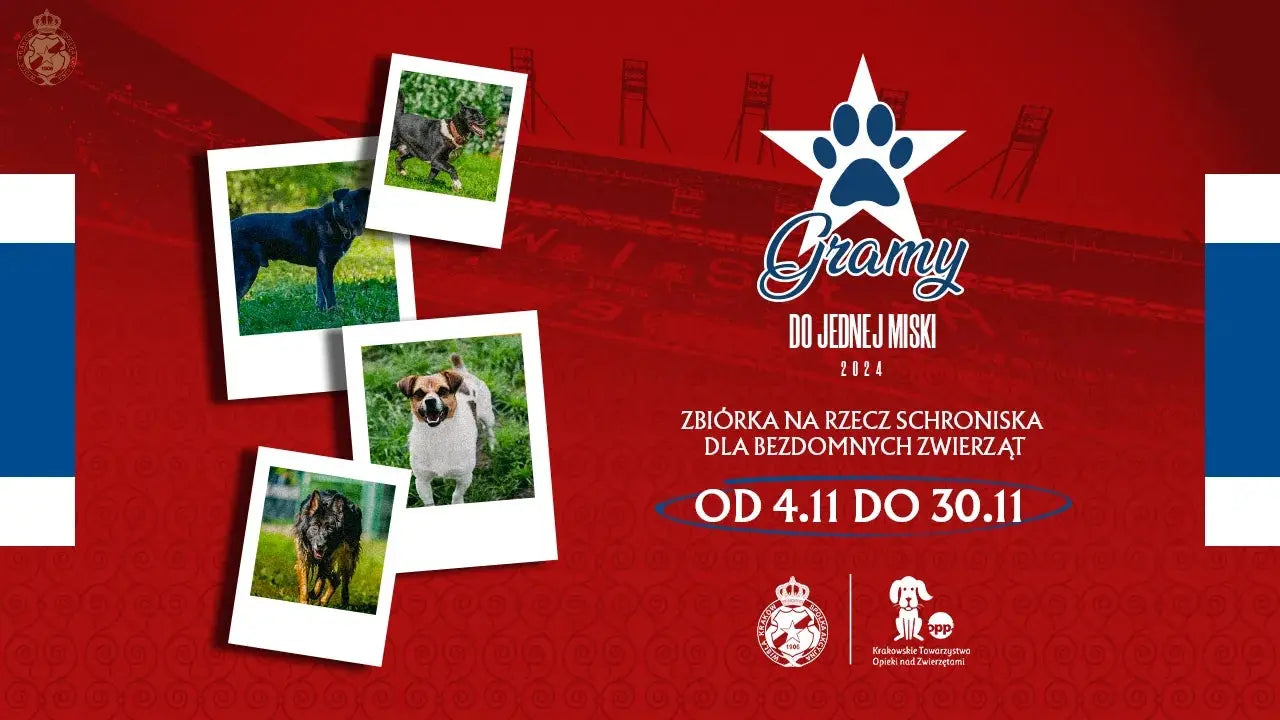 Zdjęcie: Gramy do jednej miski – Wisła Kraków wspiera zwierzęta w potrzebie!