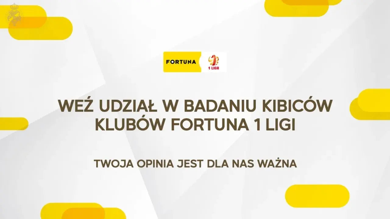 Zdjęcie: Badanie opinii kibiców: edycja 2024