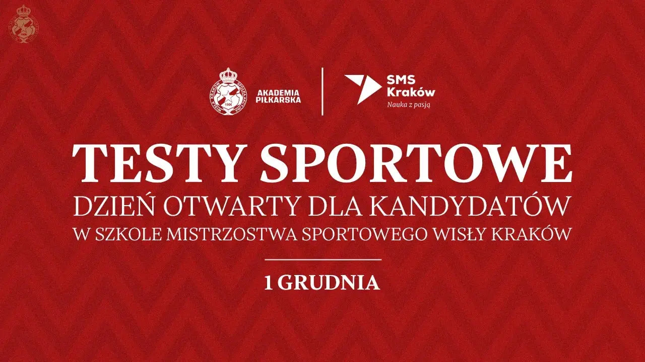 Zdjęcie: Testy Sportowe oraz Dzień Otwarty w Szkole Mistrzostwa Sportowego Wisły Kraków!