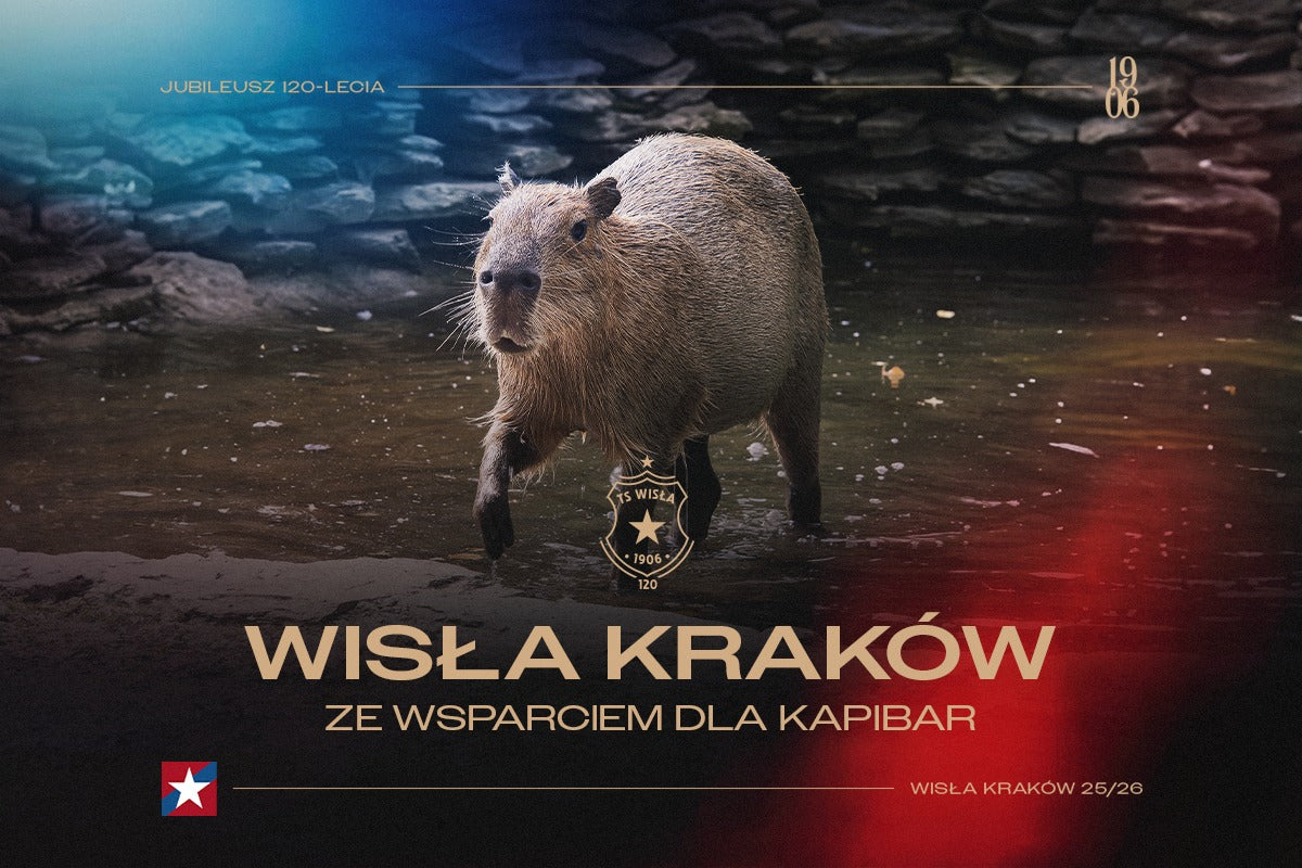 Komunikat klubu: Wisła Kraków ze wsparciem dla kapibar. - Wisła Kraków® Official Platform