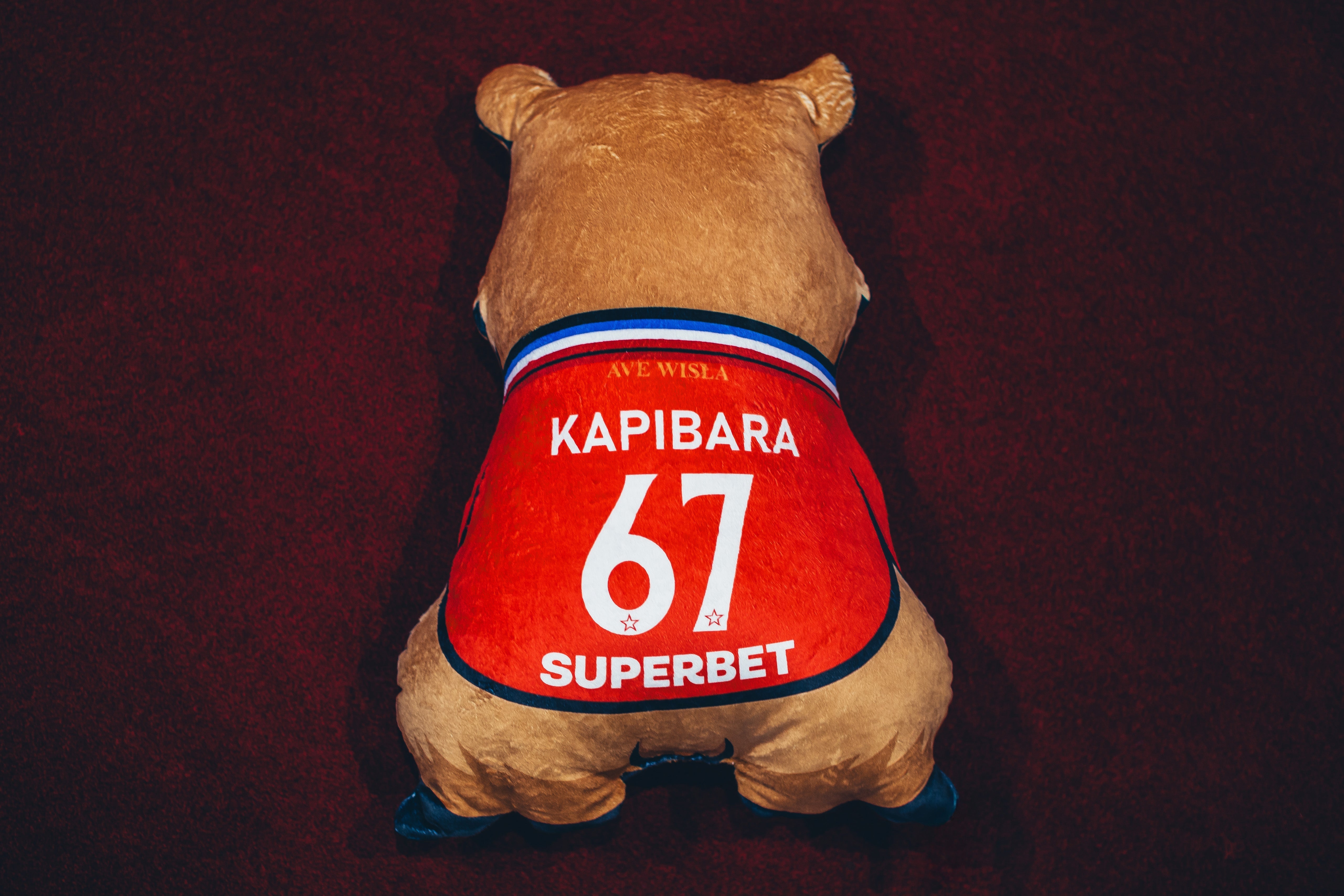 Poduszka kształt kapibara średnia - Official FanShop - TS Wisła Kraków SA