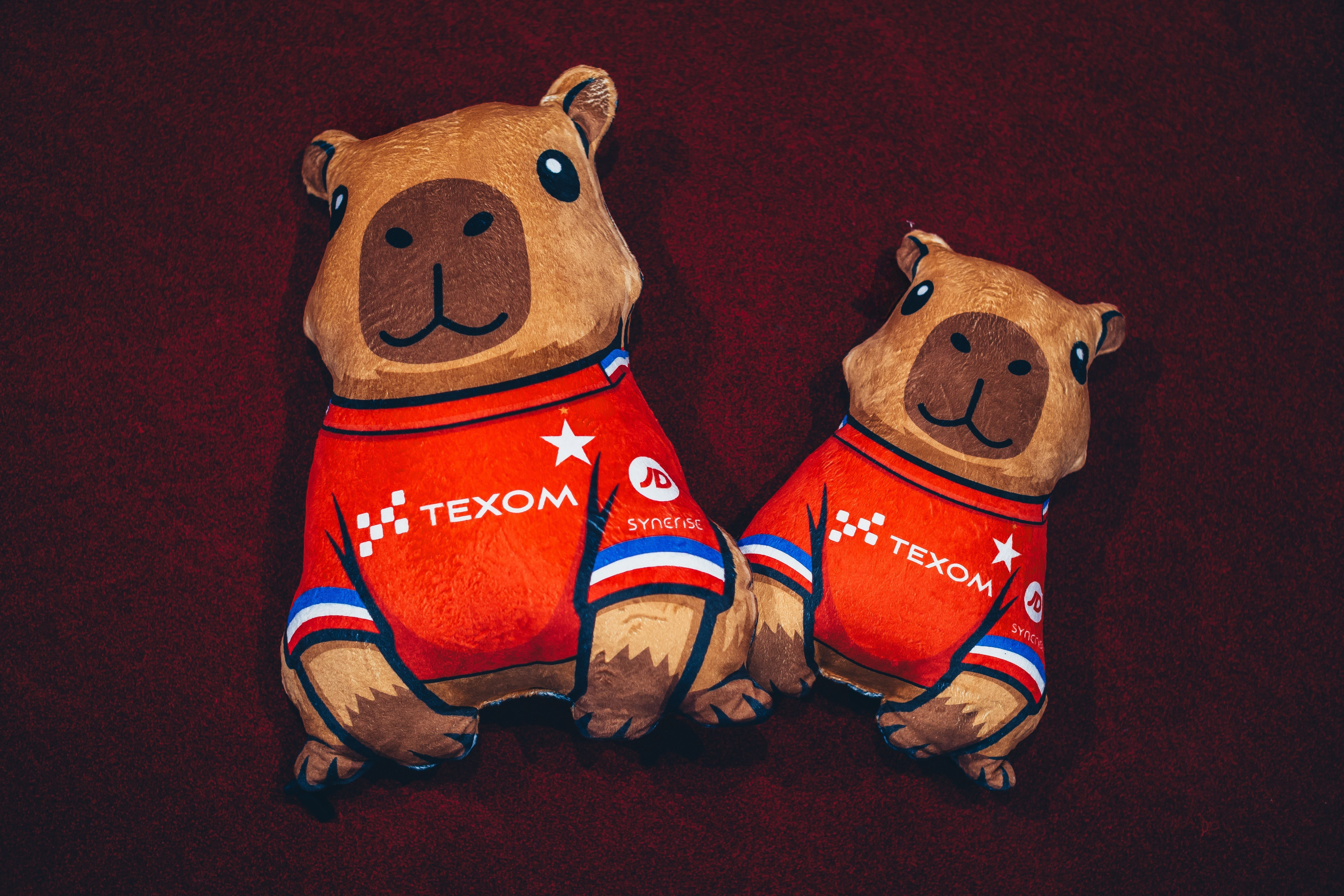 Poduszka kształt kapibara średnia - Official FanShop - TS Wisła Kraków SA