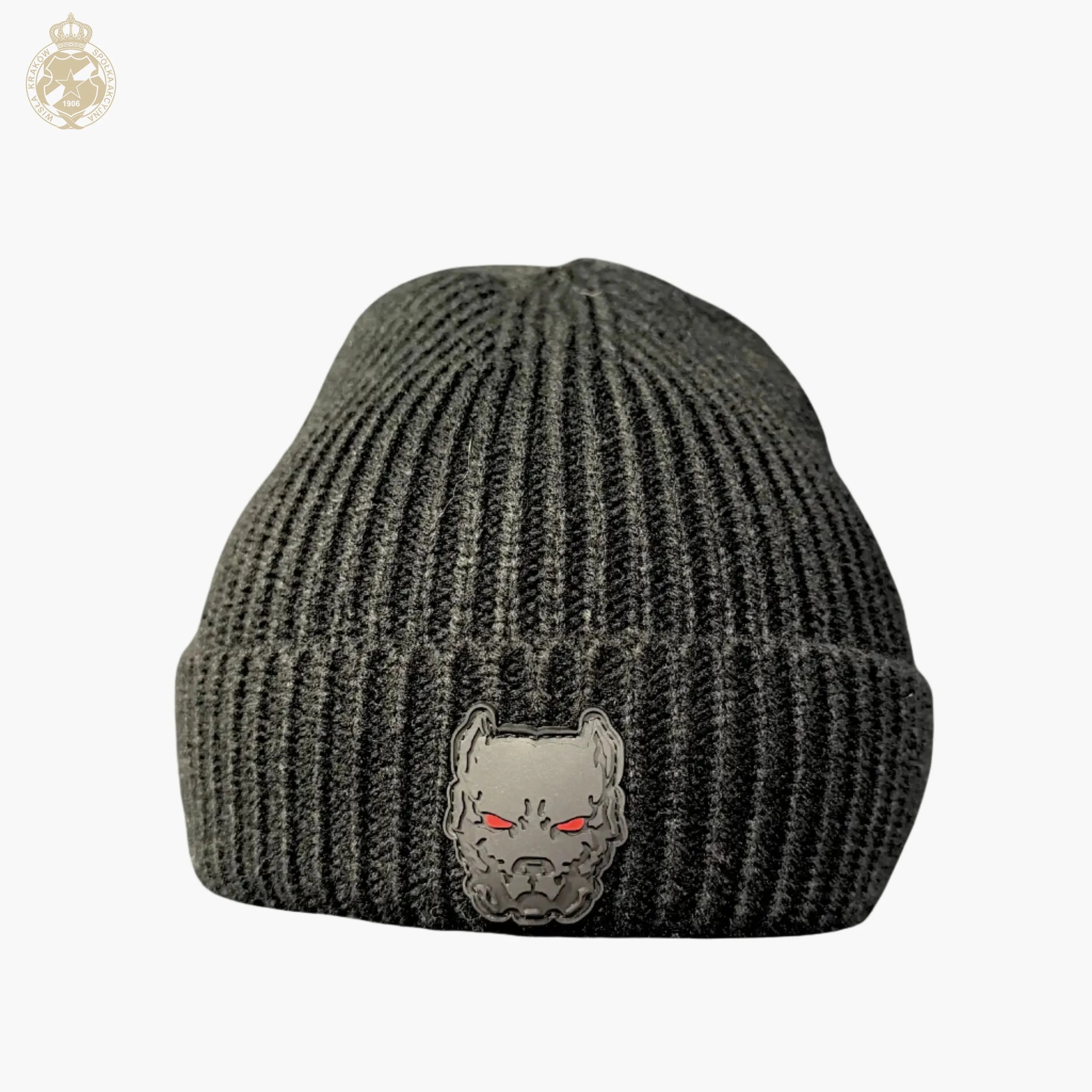 Czapka zimowa Wierność Pies - czarna prążki Wisła Kraków Offical FanShop