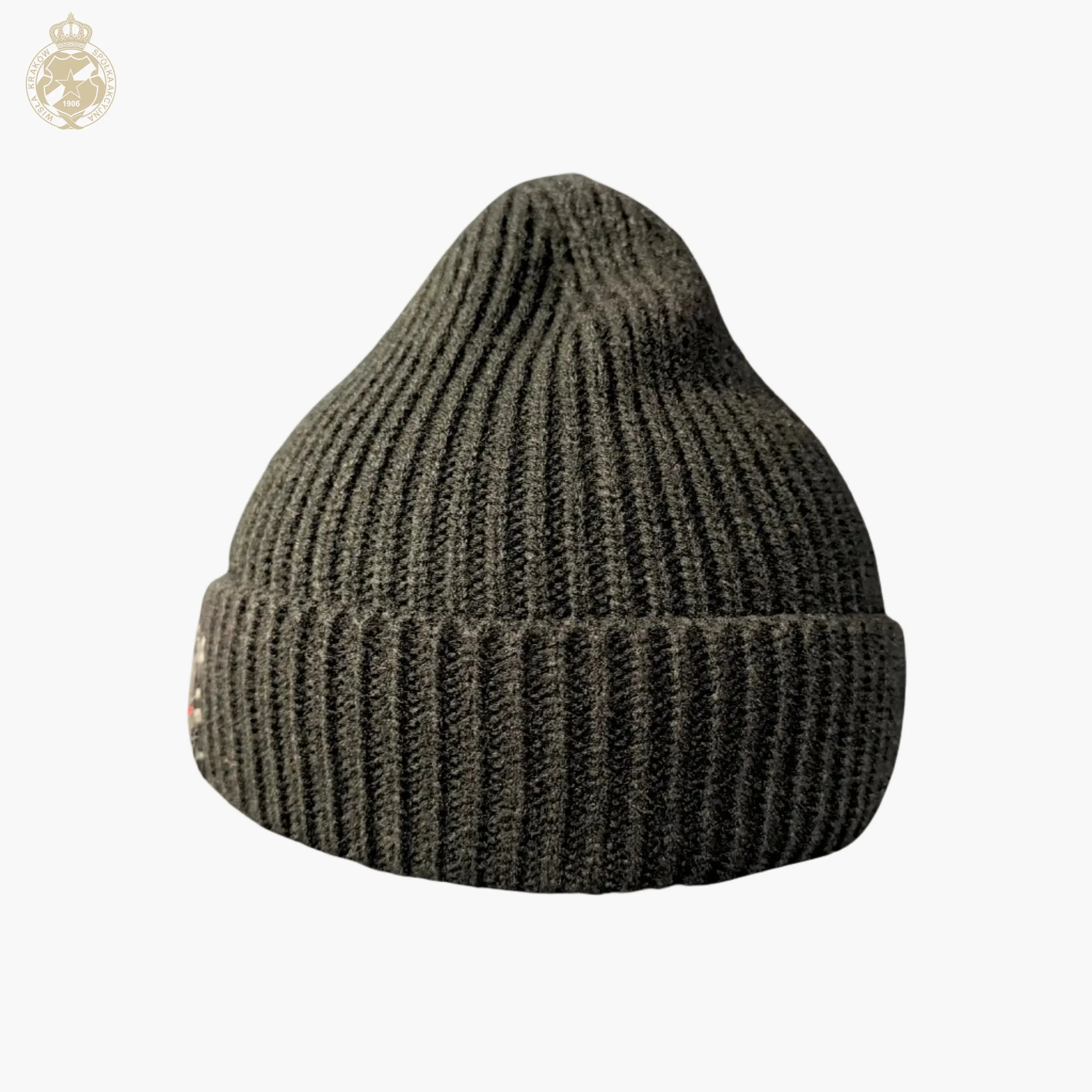 Czapka zimowa Wierność Pies - czarna prążki Wisła Kraków Offical FanShop